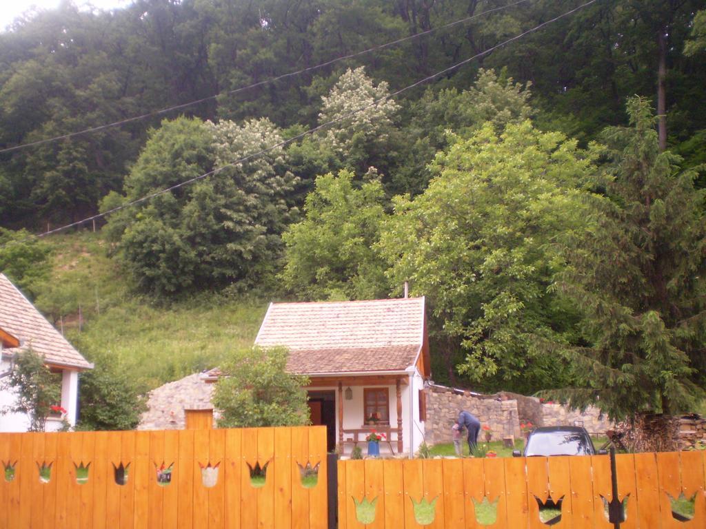 Tulipanos Vendeghaz Apartment Obanya Bagian luar foto