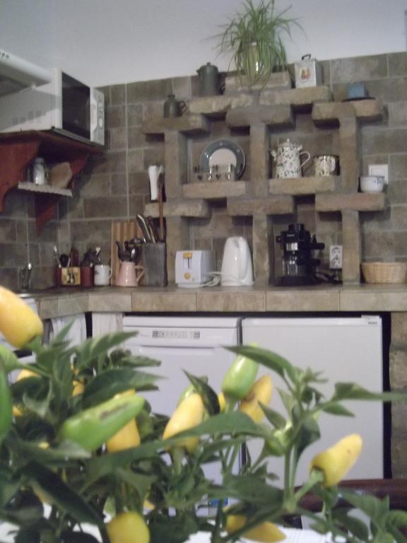 Tulipanos Vendeghaz Apartment Obanya Bagian luar foto