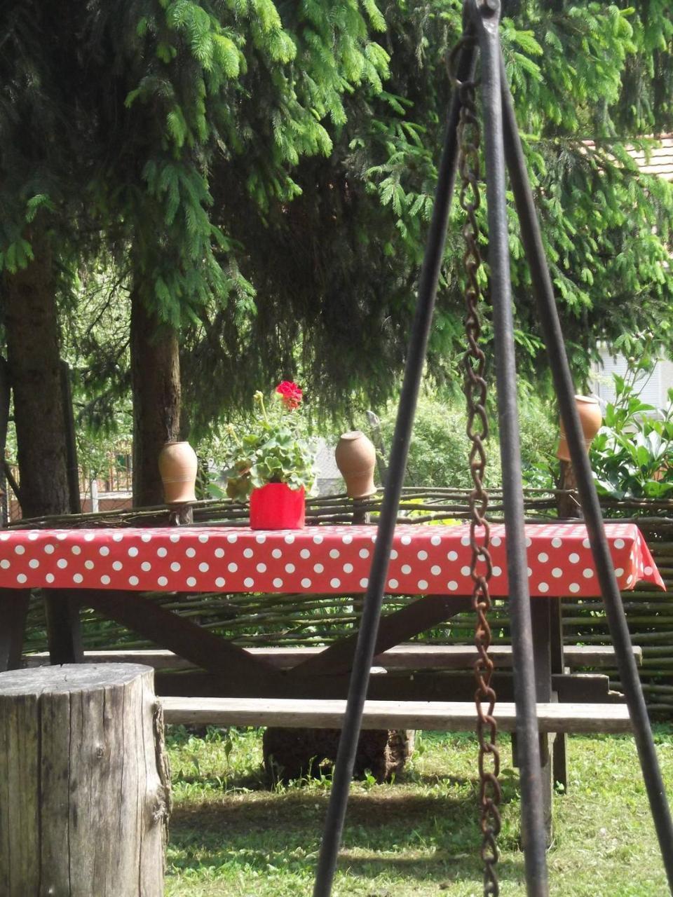 Tulipanos Vendeghaz Apartment Obanya Bagian luar foto